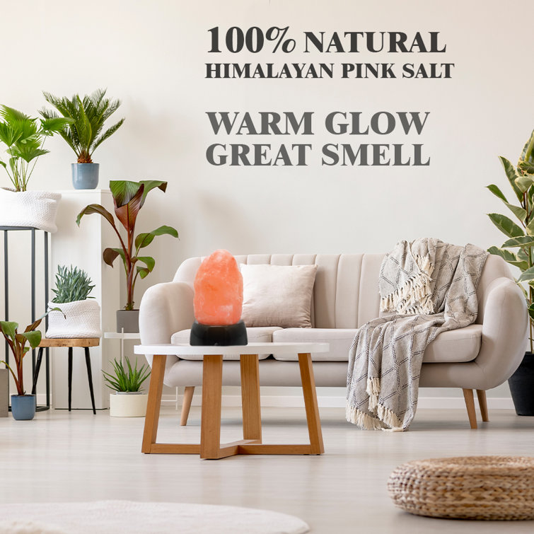 Dakota Fields Keagan Himalayan Glow Salt Lamp Battery Powered